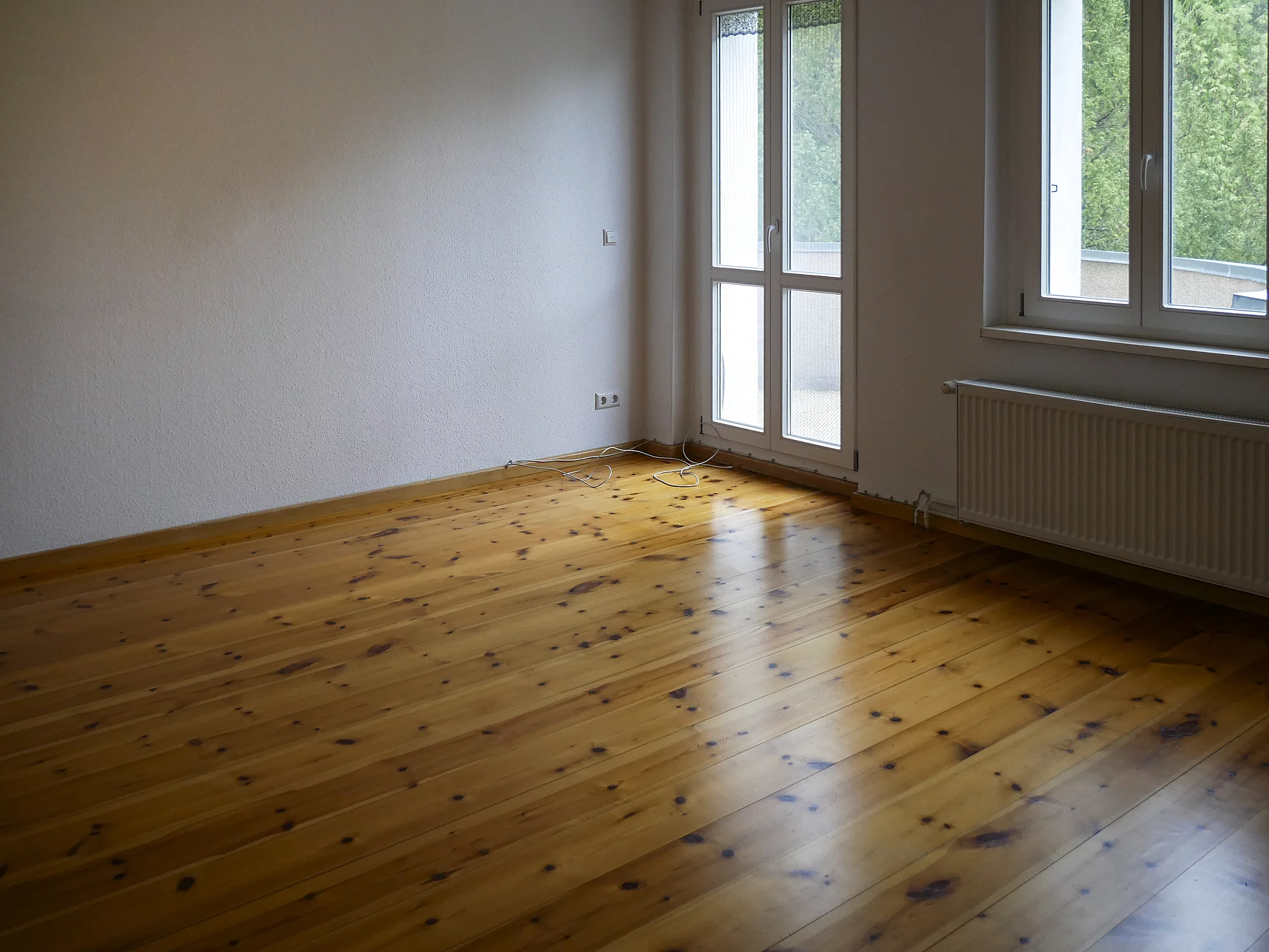 46nimrod str