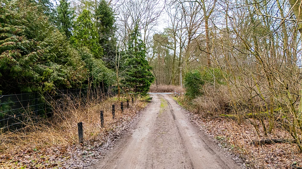 Auswahl - Grundstück in Blankenfelde Mahlow-7