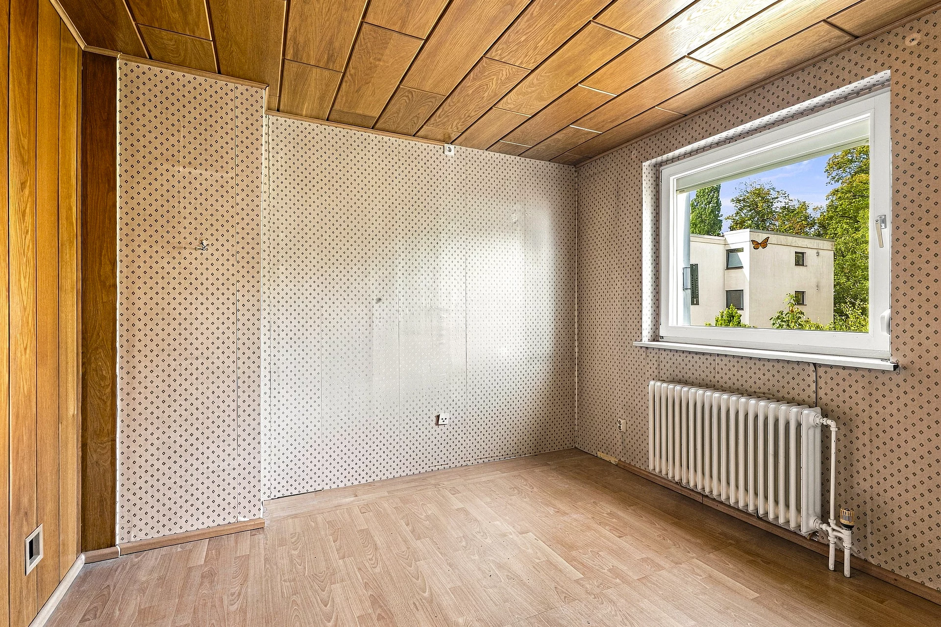 08d4af71_242Kolonie 