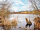 KAT_1120_Hermsdorfer_See