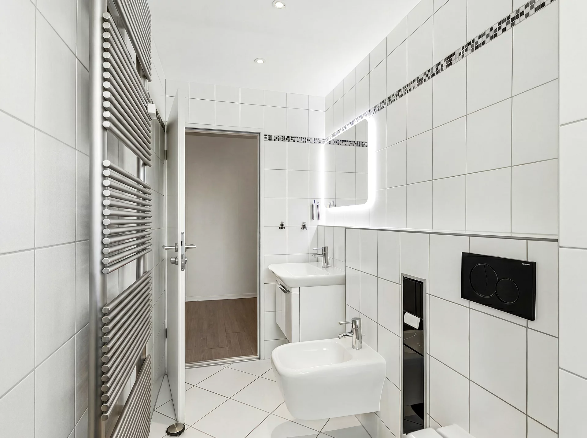 toilet staged 2