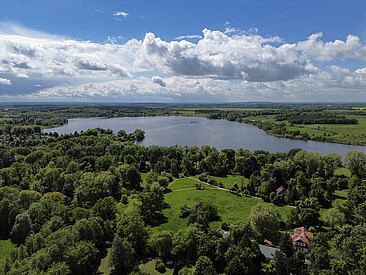 41HAUPT GRUND  drone