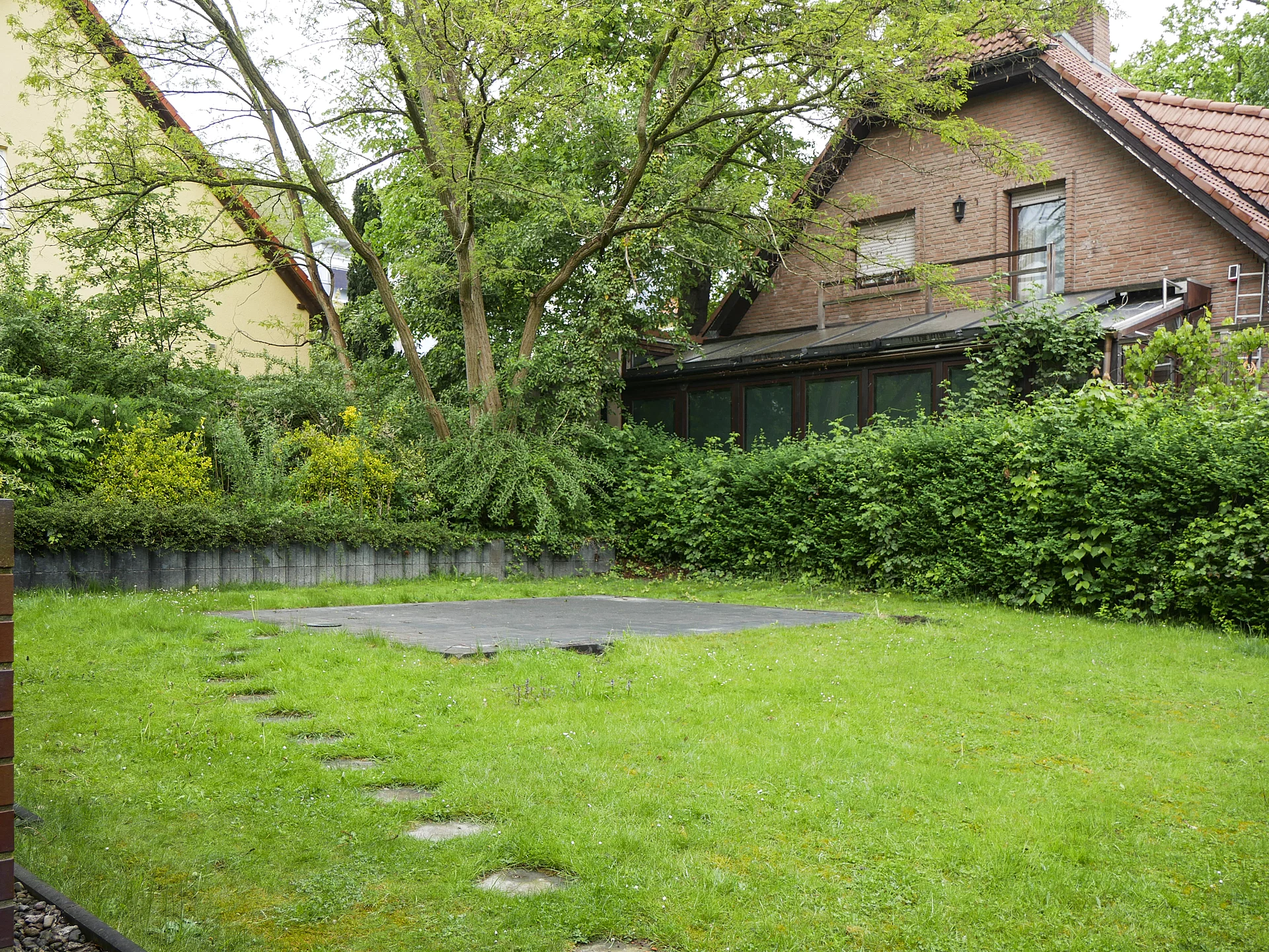 65nimrod str